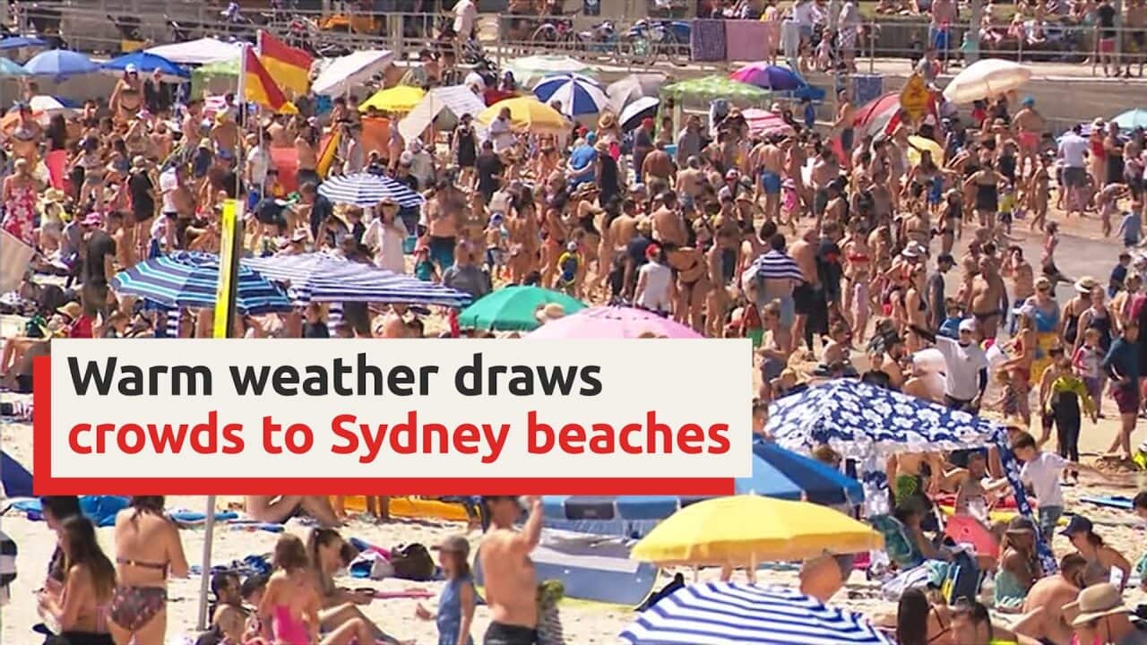 Warm weather draws crowds to Sydney beaches