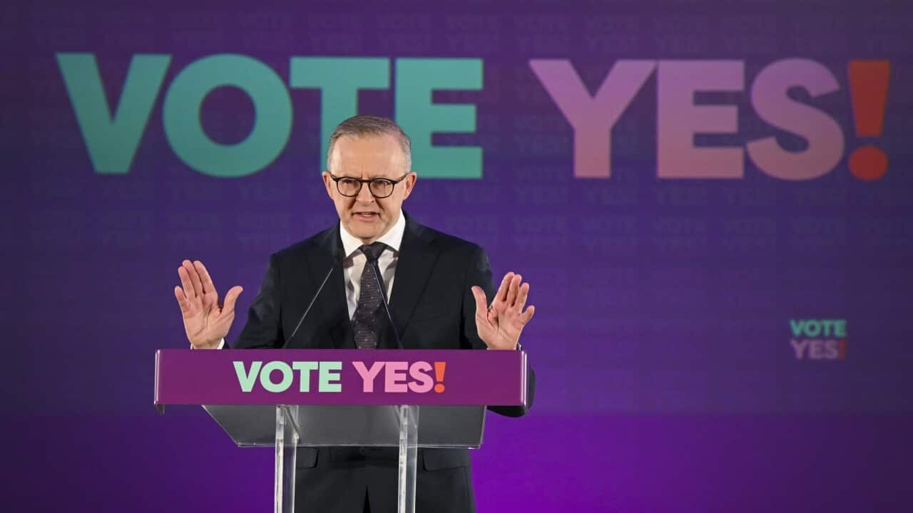 Image for read more article 'Đọc thêm'