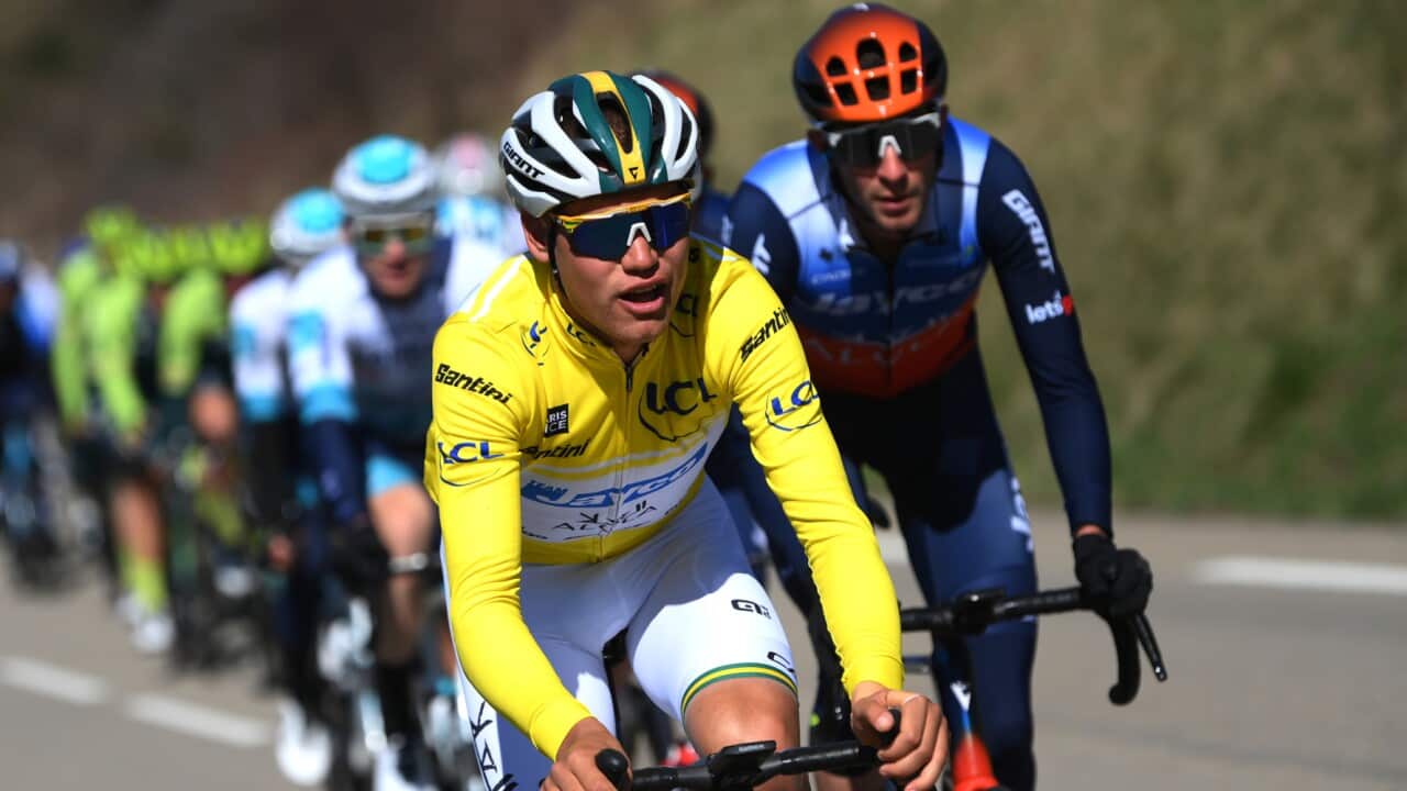Luke Plapp wearing the yellow jersey during Stage 5 of the 2024 Paris-Nice.
