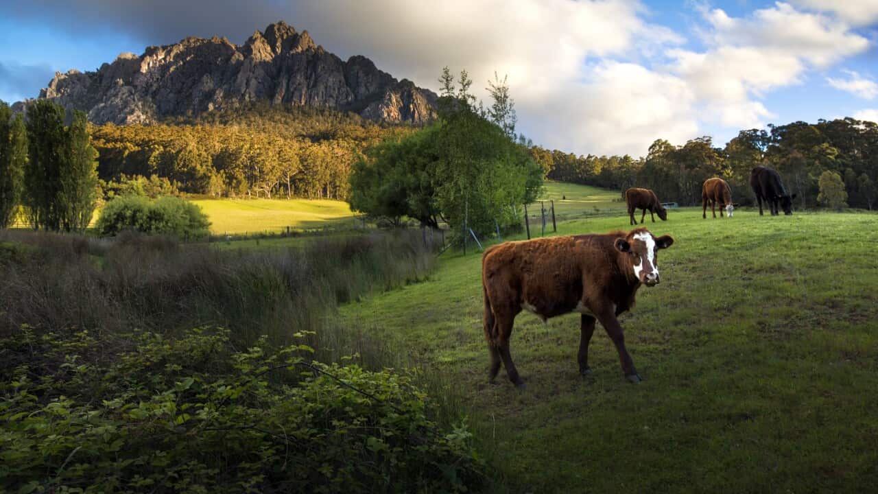 Beautiful rural area of Tasmania, Australia