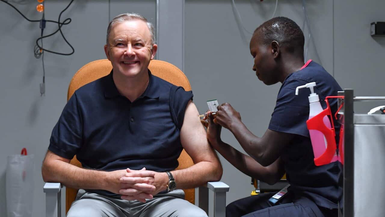 Leader of the Opposition Anthony Albanese receives his COVID-19 vaccine injection in Canberra on Tuesday, 23 February, 2021. 