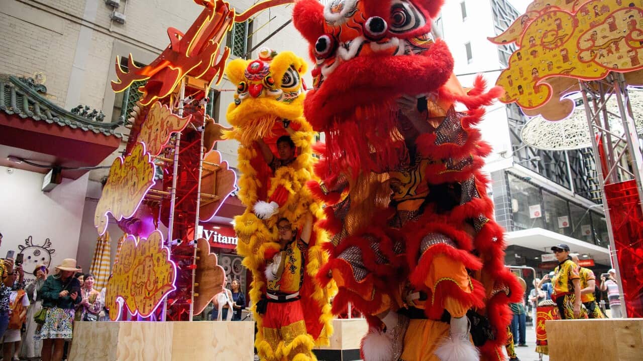 SYDNEY LUNAR FESTIVAL LAUNCH
