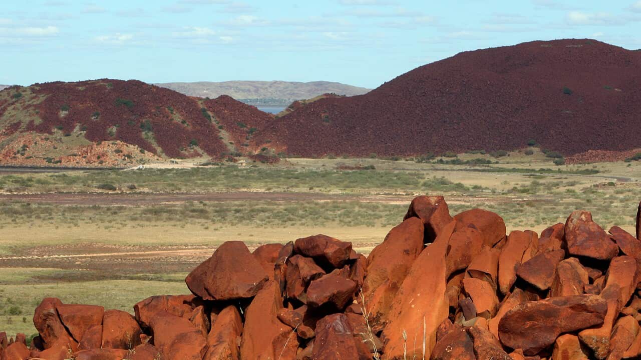 Image for read more article 'READ MORE'