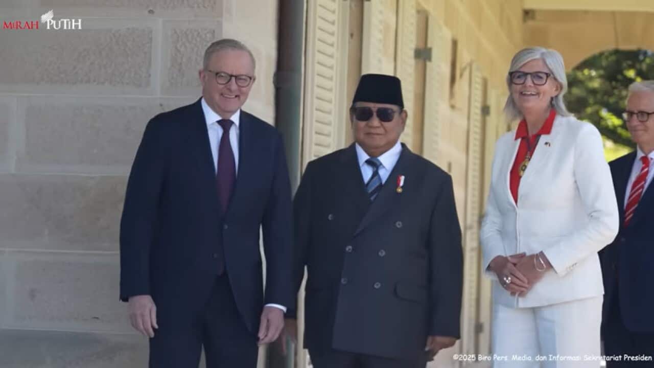 albanese prabowo gubjen