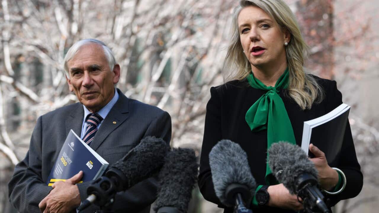 Minister for Sport Bridget McKenzie (right) and head of the Sport Integrity review James Wood QC