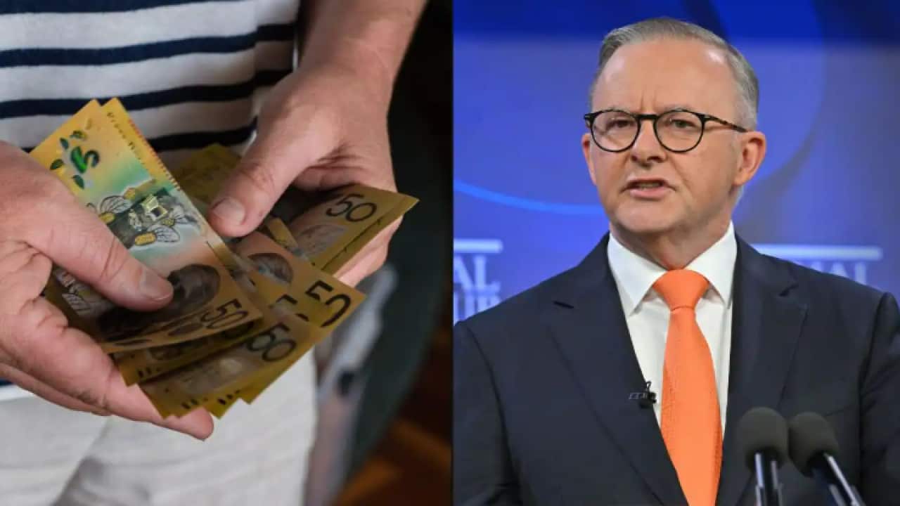 pm albo.png