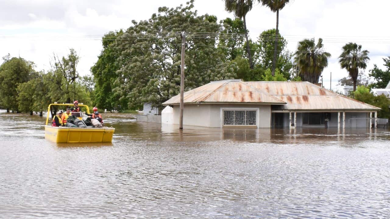 Image for read more article 'READ MORE'