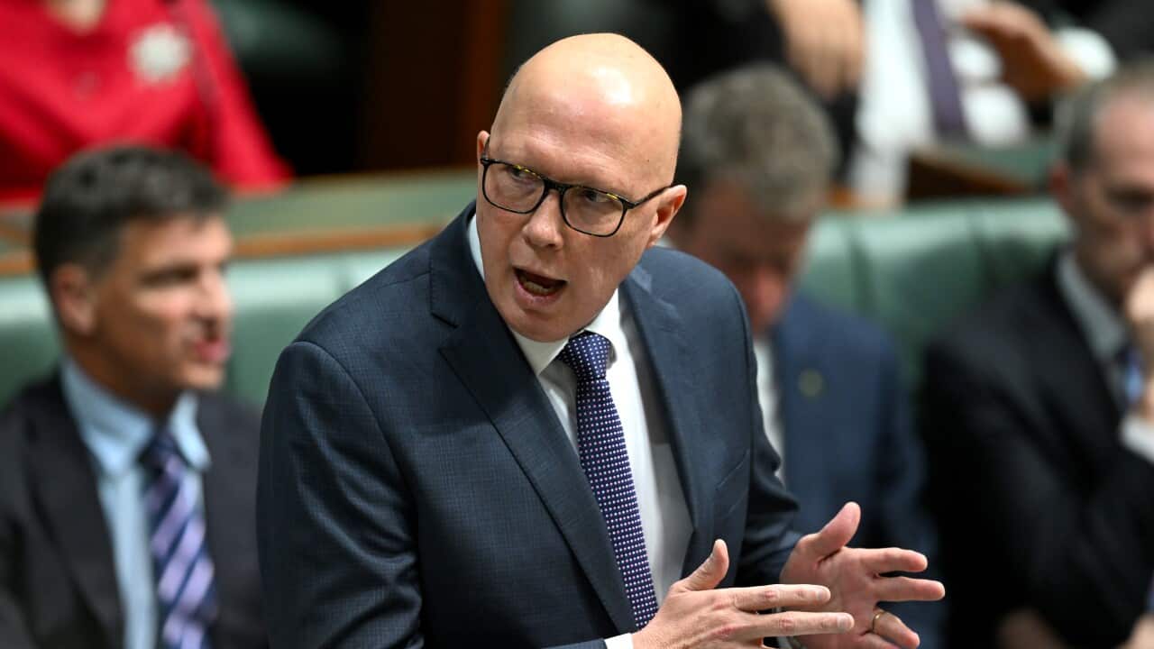 Image for read more article 'READ MORE'