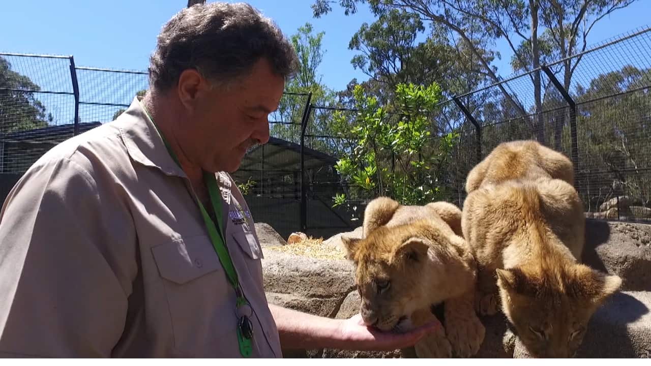 Mark Stone bought Billabong Zoo in 2003.