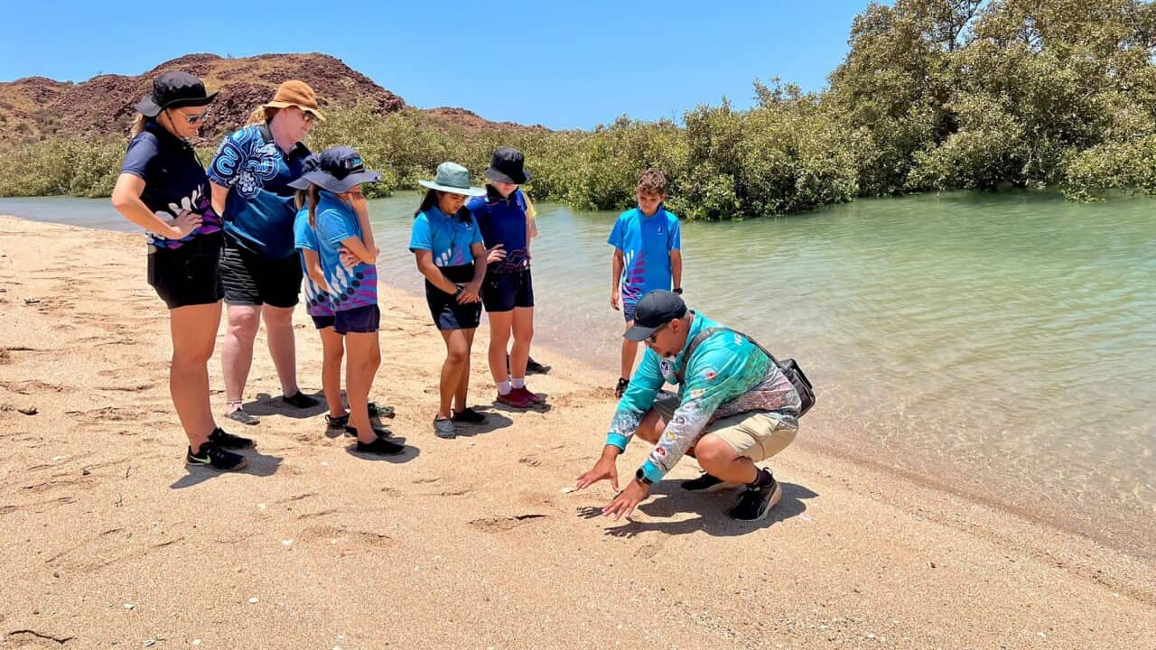 Students in Western Australia taking part in the CSIRO's Living Stem program (Credit Stella Gray-Broun ).jpg