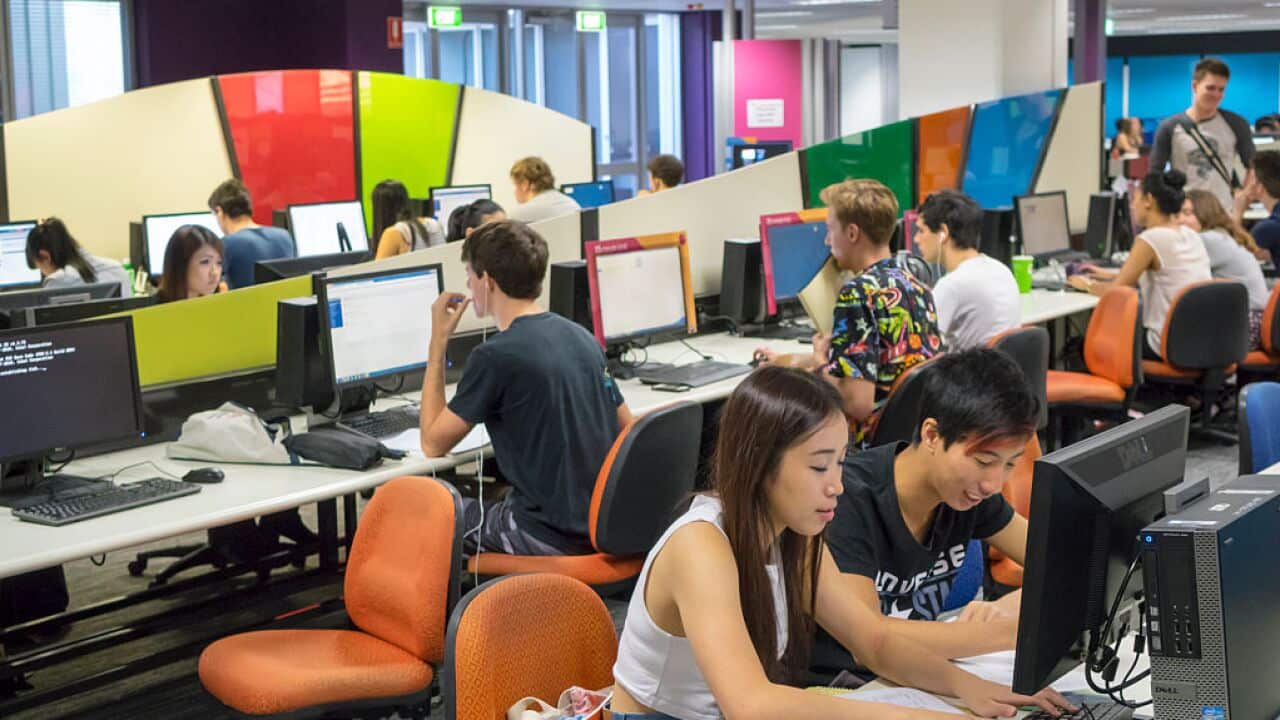 Calls grow to give international students an exemption to the