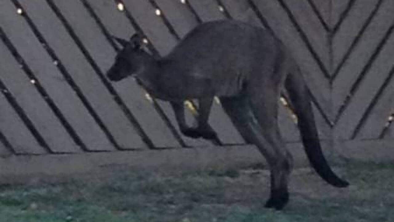 Image for read more article ''