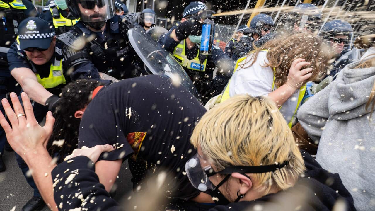 Violence at Protest of Land Forces Weapons Expo in Melbourne, Australia - 11 Sep 2024
