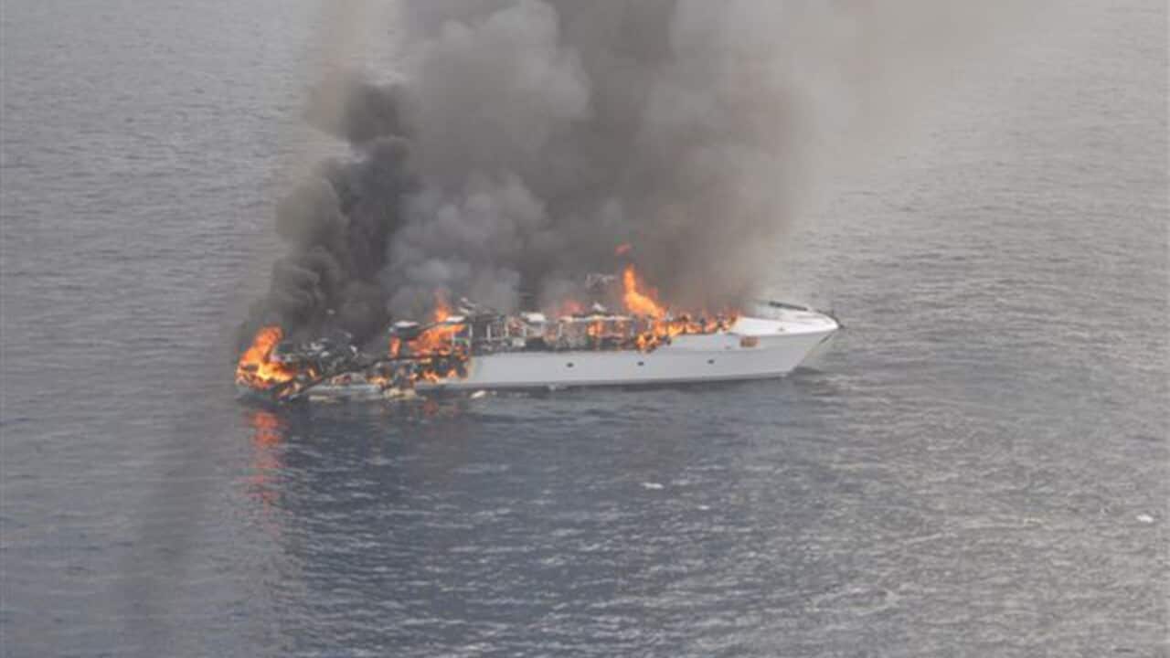 Seafaris_131003_AAP.JPG