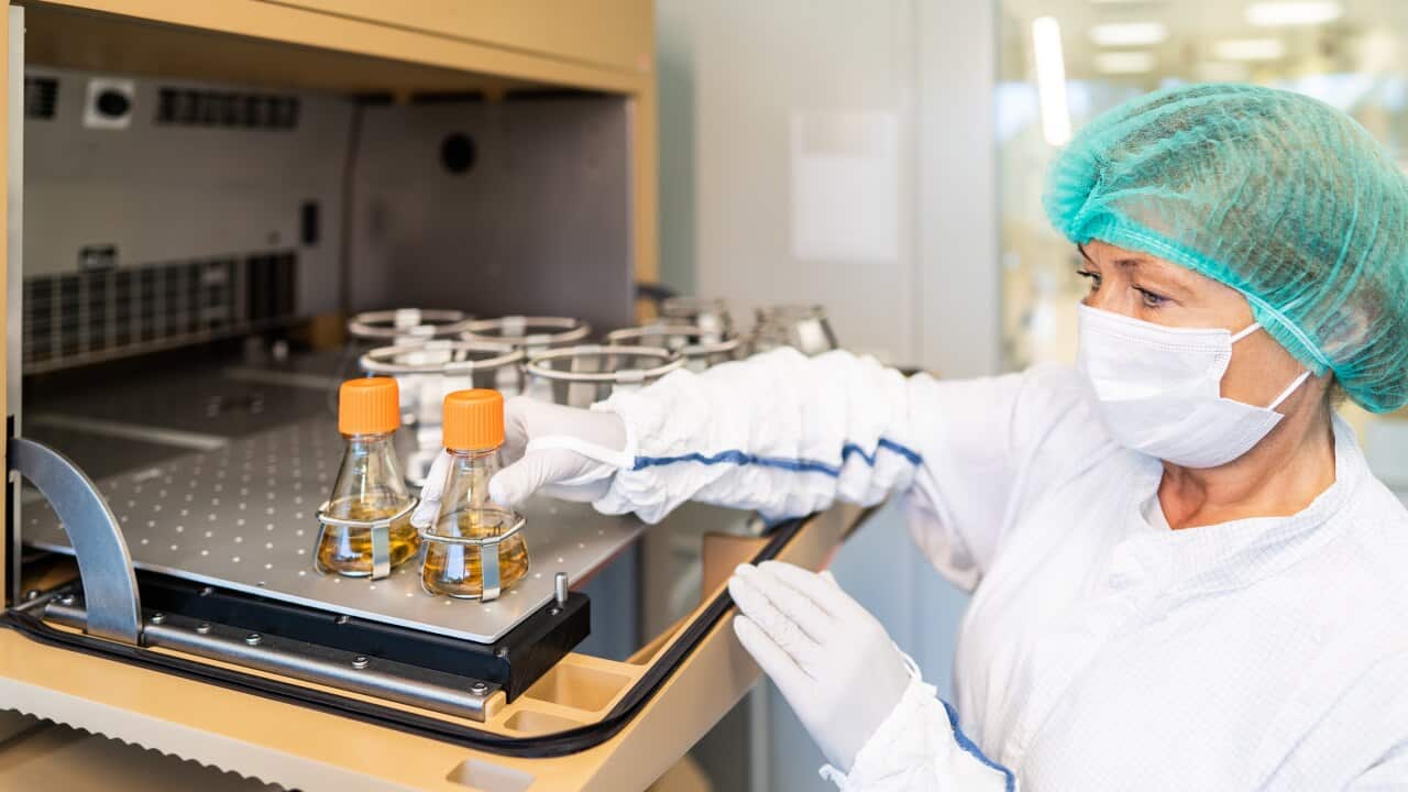 Image for read more article ''