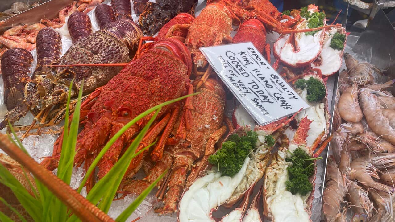 Prawns Lobesters3.jpeg