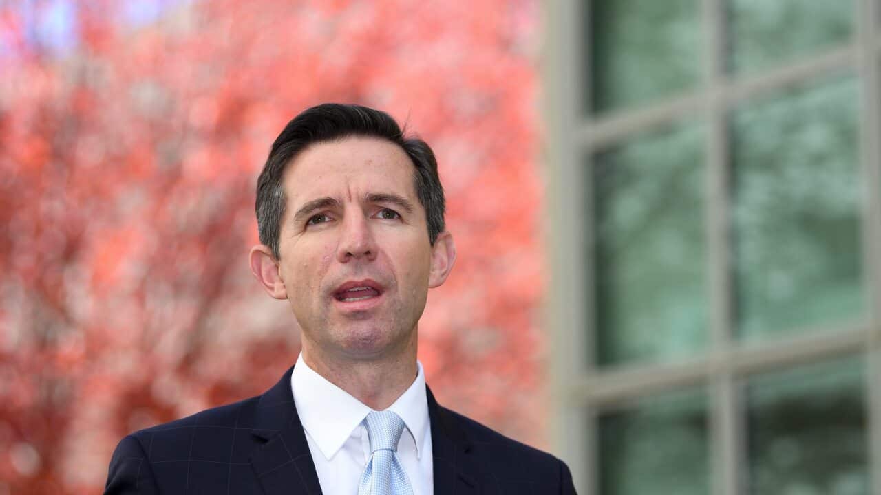 Image for read more article 'Baca juga'