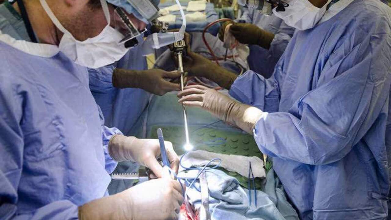 A surgeon operates on a patient in hospital (AAP)