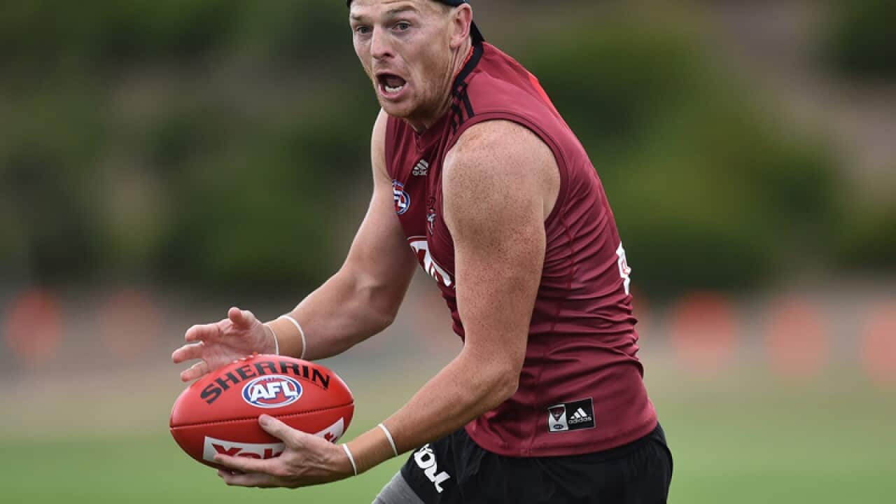 Senior Essendon player Brendon Goddard