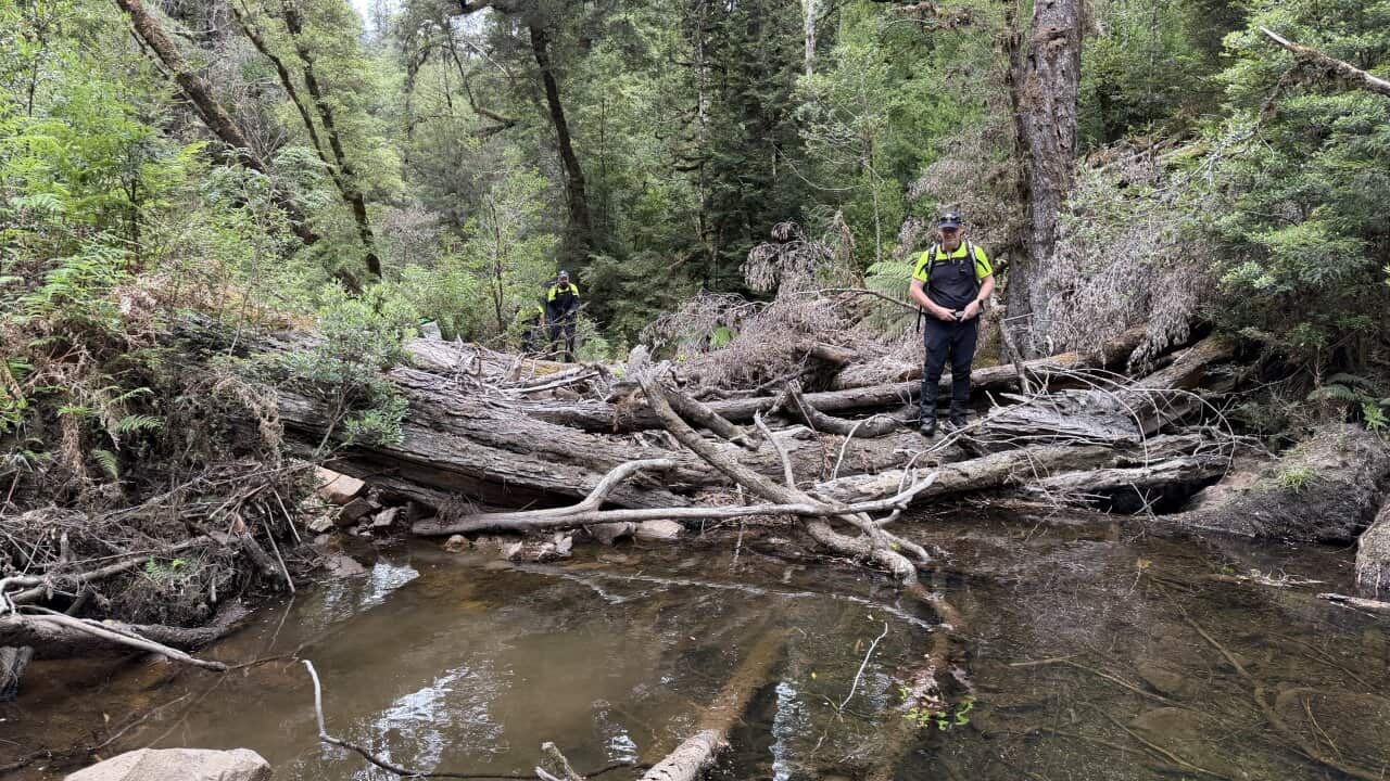 A man standing over a swamping water area.
