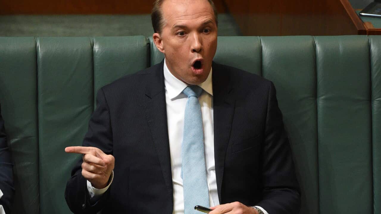 Federal Minister for Immigration Peter Dutton during Question Time at Parliament House in Canberra on Tuesday, Feb. 23, 2016.  (AAP Image/Mick Tsikas) NO ARCHIVING