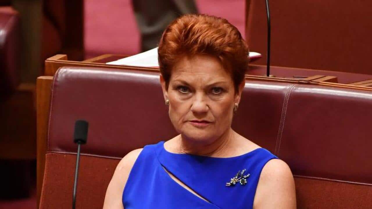 Pauline Hanson new proposal