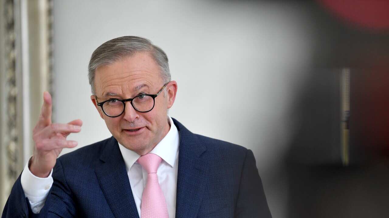 Prime Minister Albanese