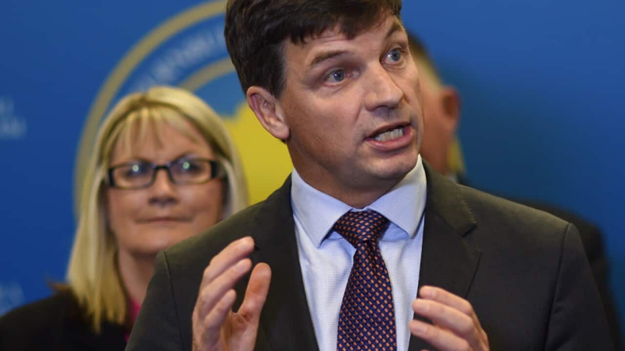 Australian Assistant minister responsible for Cities Angus Taylor