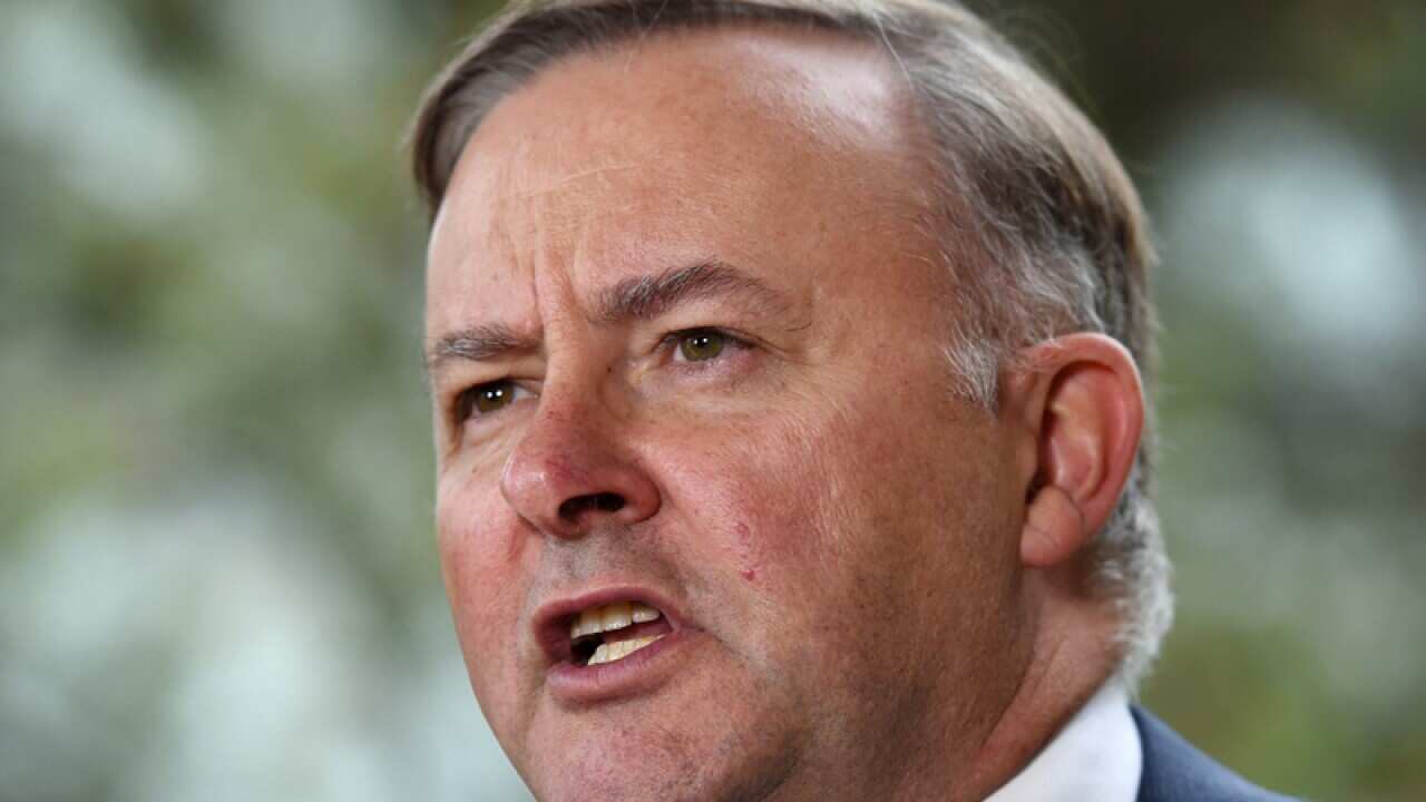 Opposition frontbencher Anthony Albanese