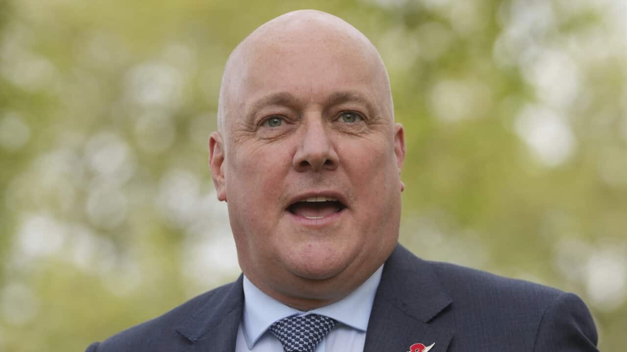 Why New Zealand’s PM wants to copy Australia’s controversial legislation on teens Why New Zealand’s PM wants to copy Australia’s controversial legislation on teens