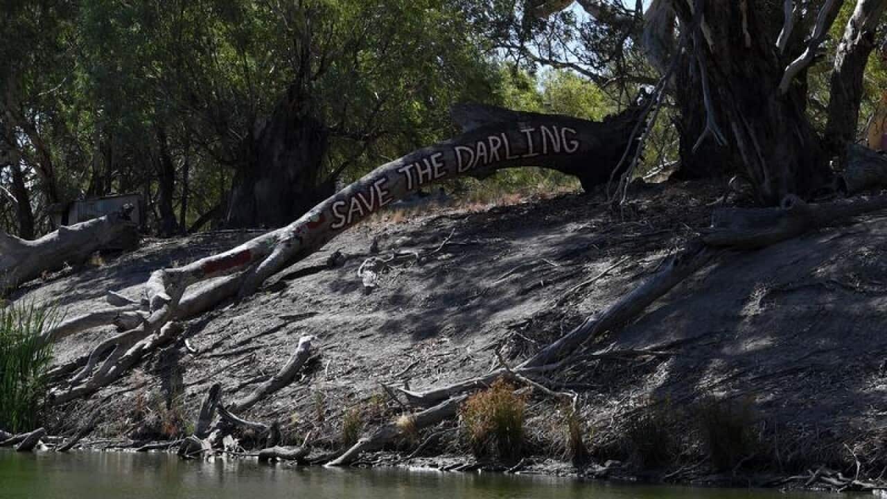 The new position will 'ensure integrity in delivery of the Basin Plan'.