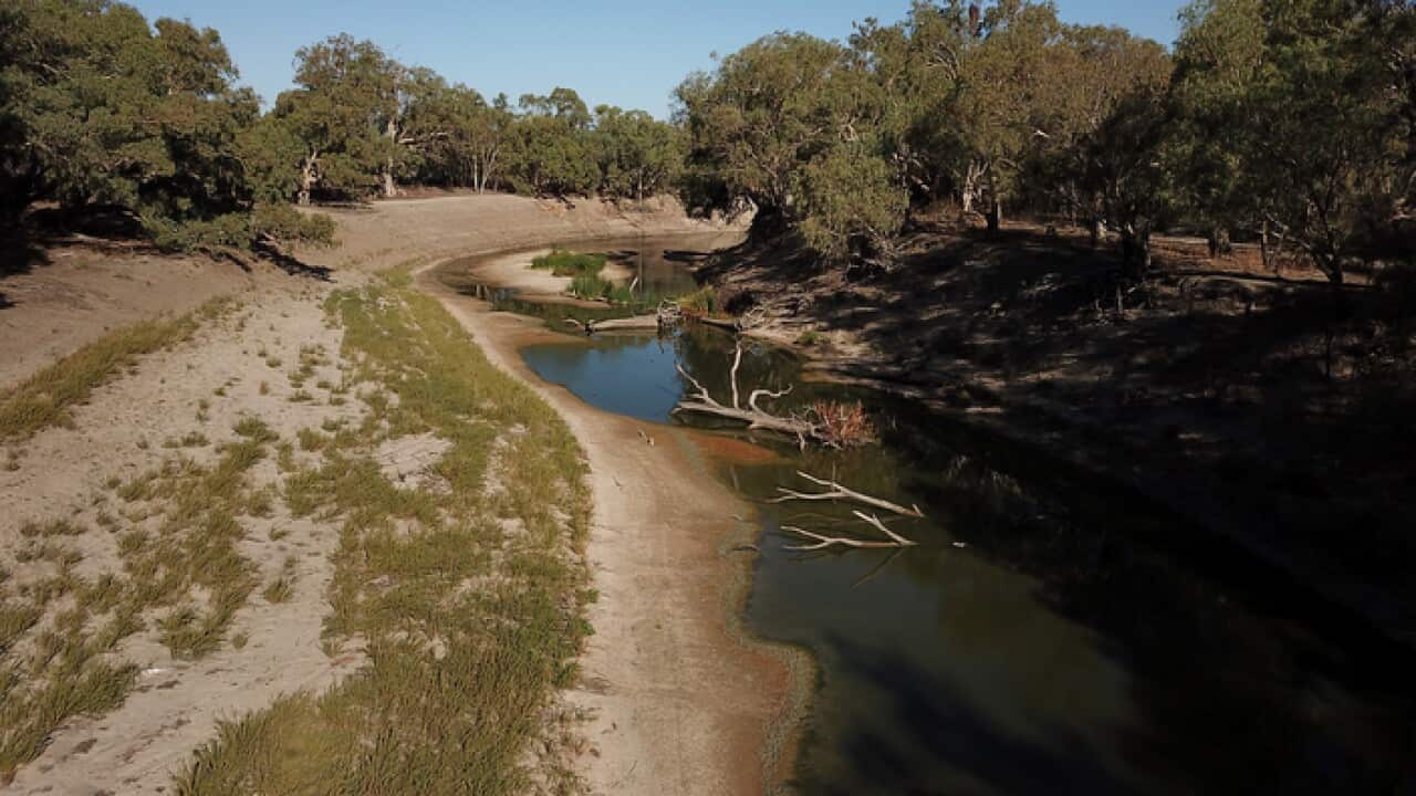 Diminishing water levels on the Darling River below weir 32 near Menindee, in February 2019.