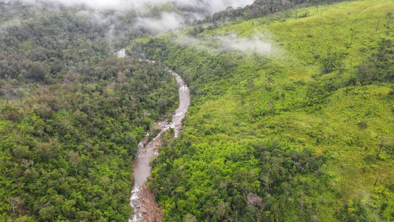 Prey_lang - Winrock_international.jpg