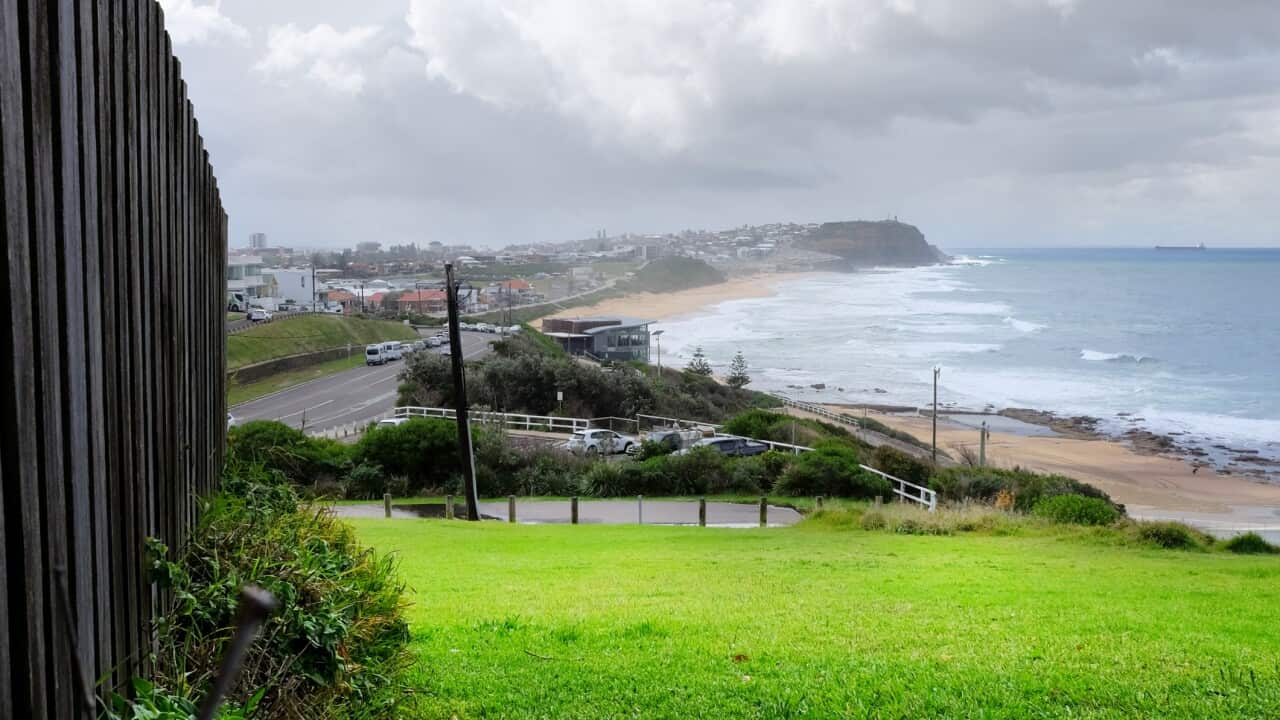 Looking along a timber fence at Newcastle's, Bar Beach, with Shepherds Hill in the background and bright green grass in the foreground.