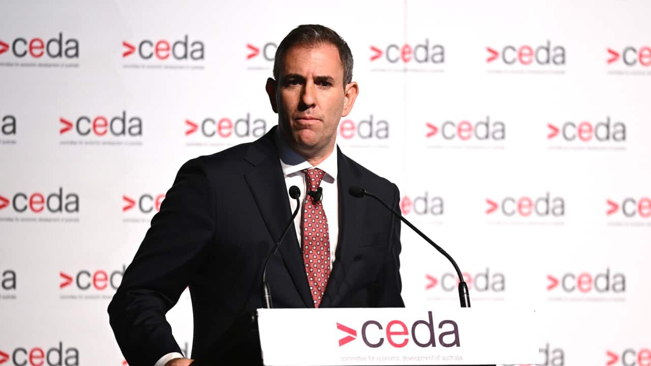 JIM CHALMERS PRE BUDGET CEDA ADDRESS