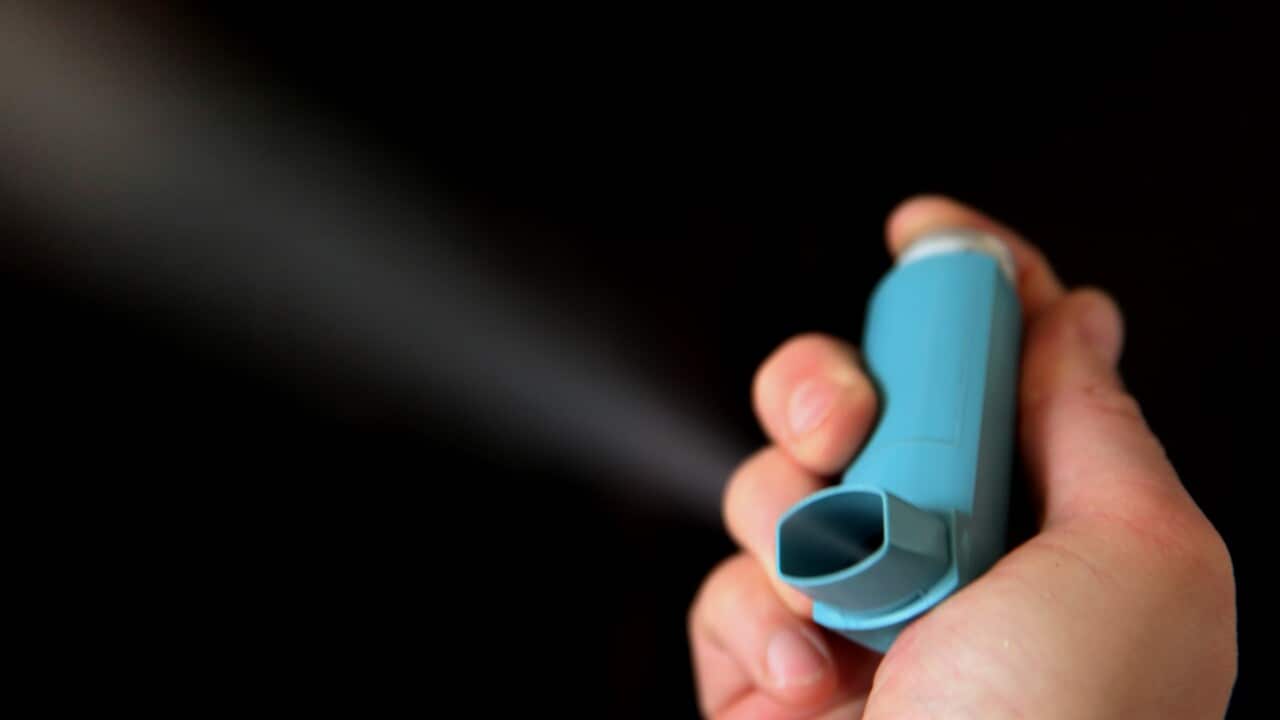 An inhaler used for treating asthma. 