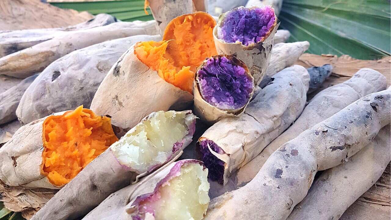 Study to fight food insecurity in Indigenous communities