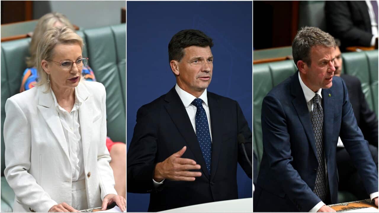 Liberals prepares to elect a new leader.jpg