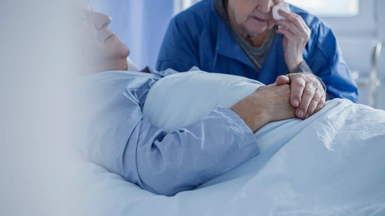 Image for read more article 'More from SBS Punjabi'