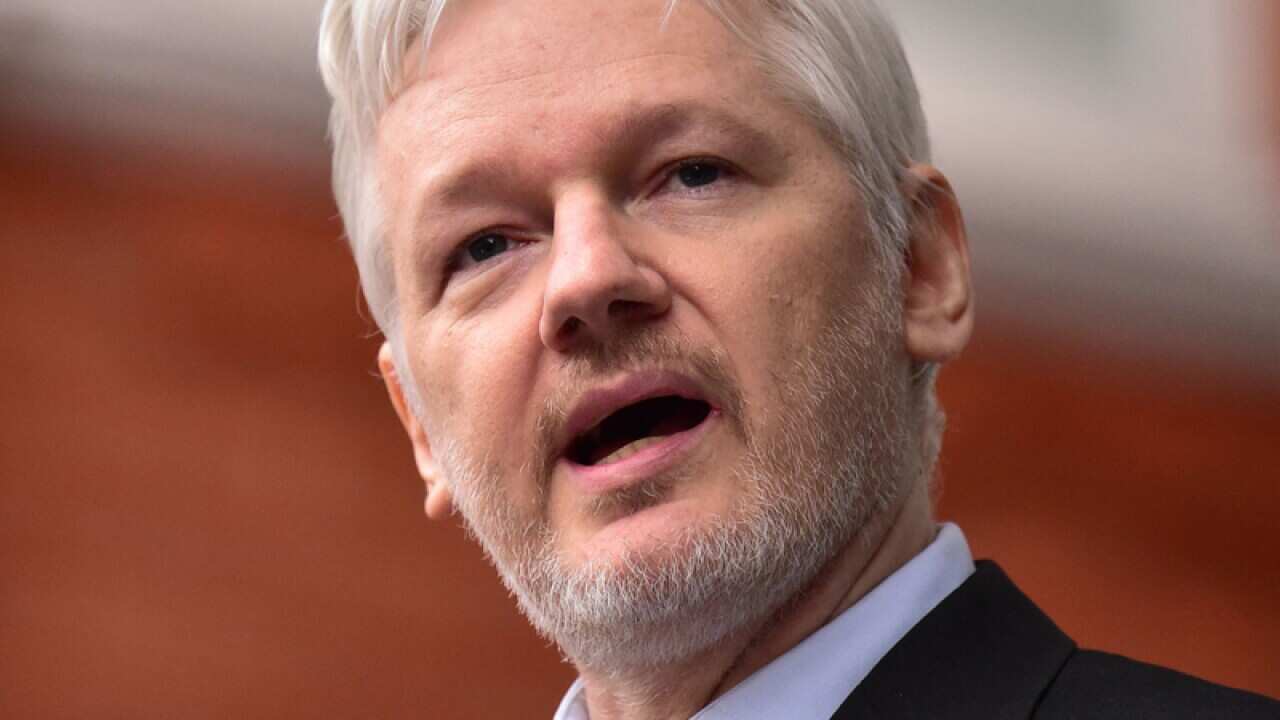 WikiLeaks founder Julian Assange