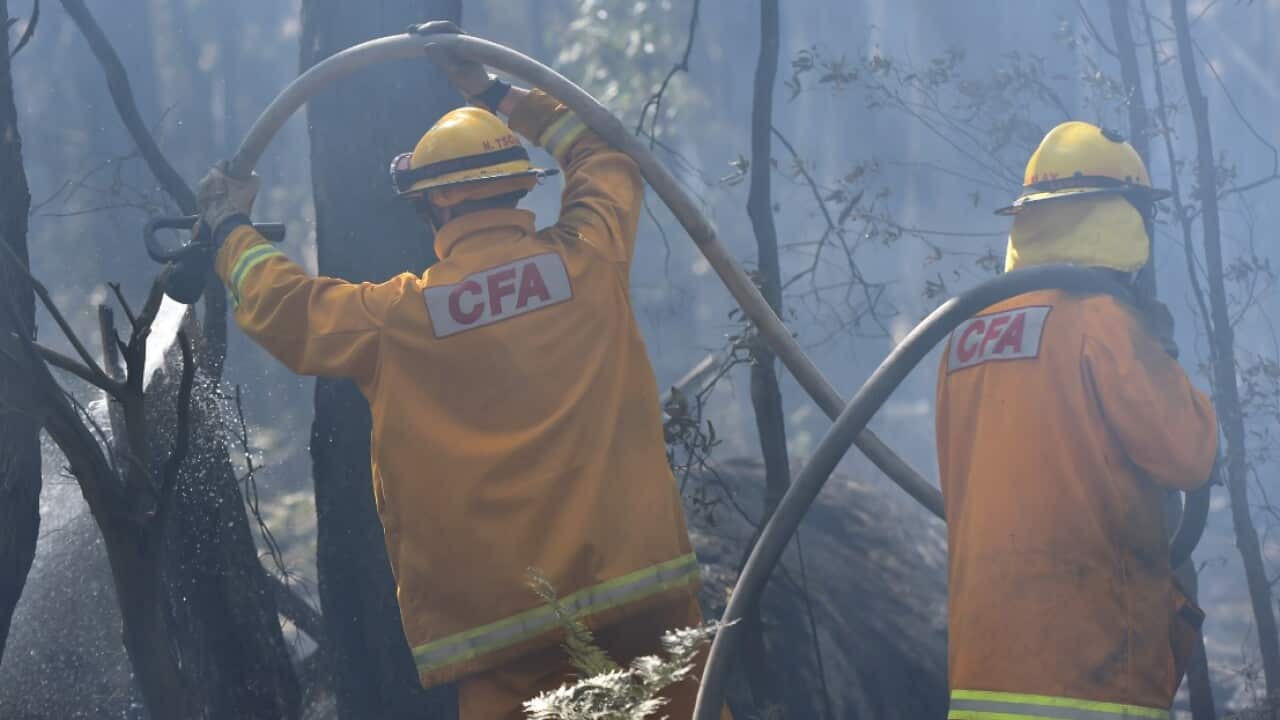 File image of CFA firefighters