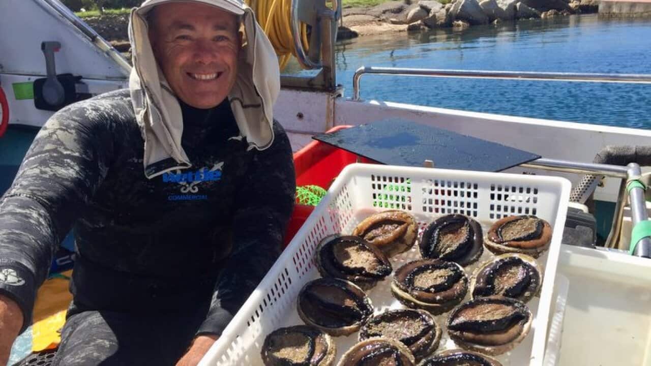 Abalone diver Stephen Binney working to meet demand from China