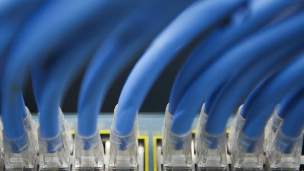 Cables - AAP.jpg