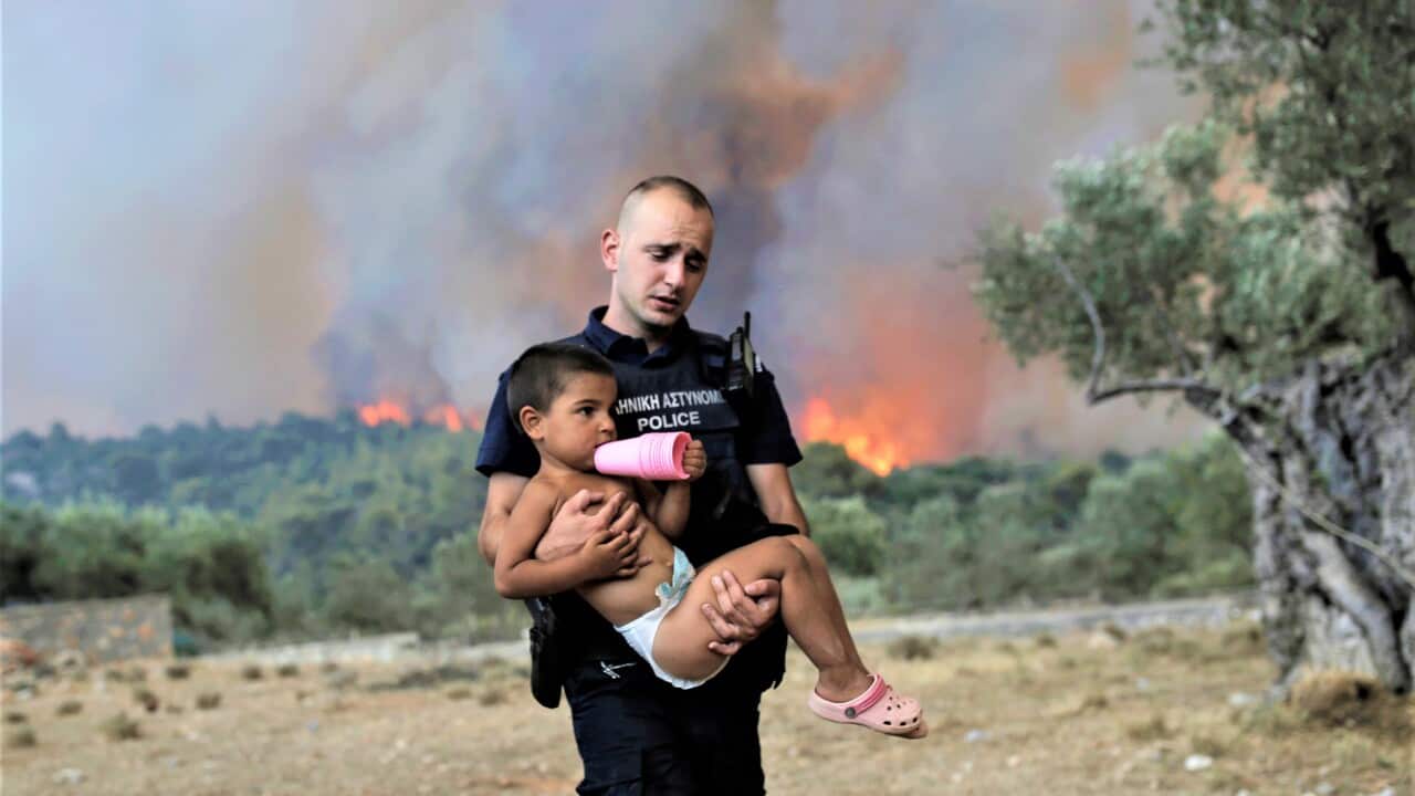 GREECE WILDFIRES