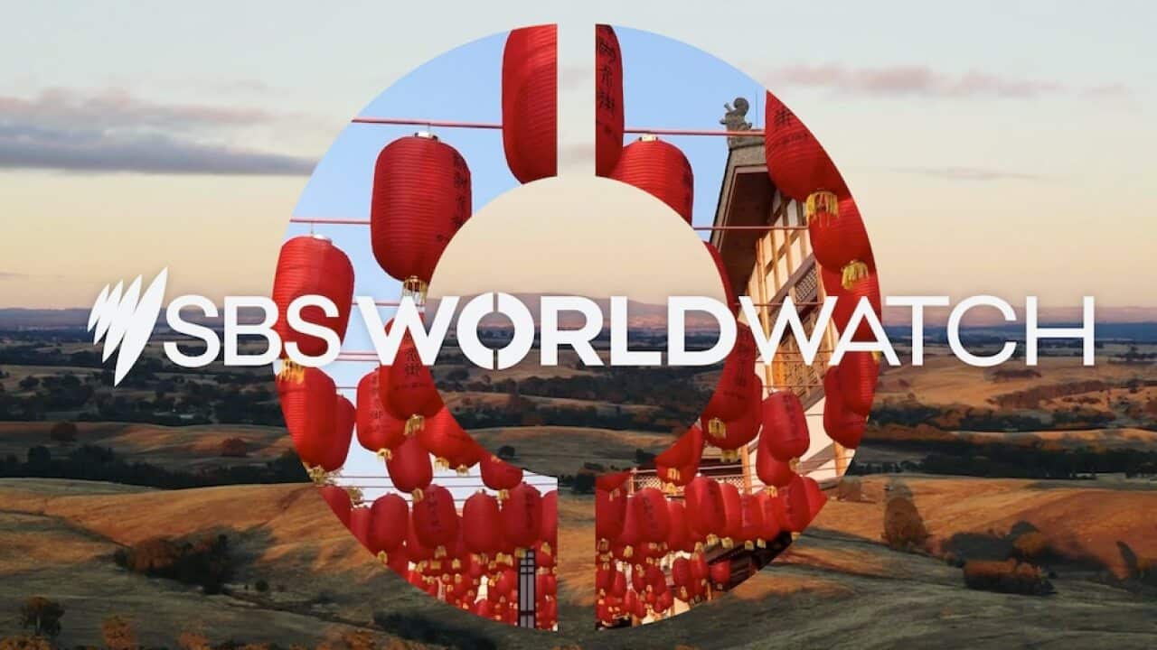 SBS WorldWatch, SBS's sixth free-to-air television channel, will launch on 23 May this year.