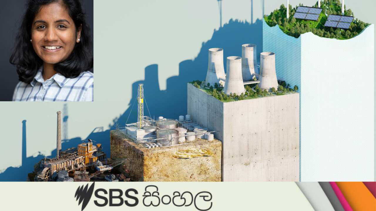 Sustainability growing bar chart