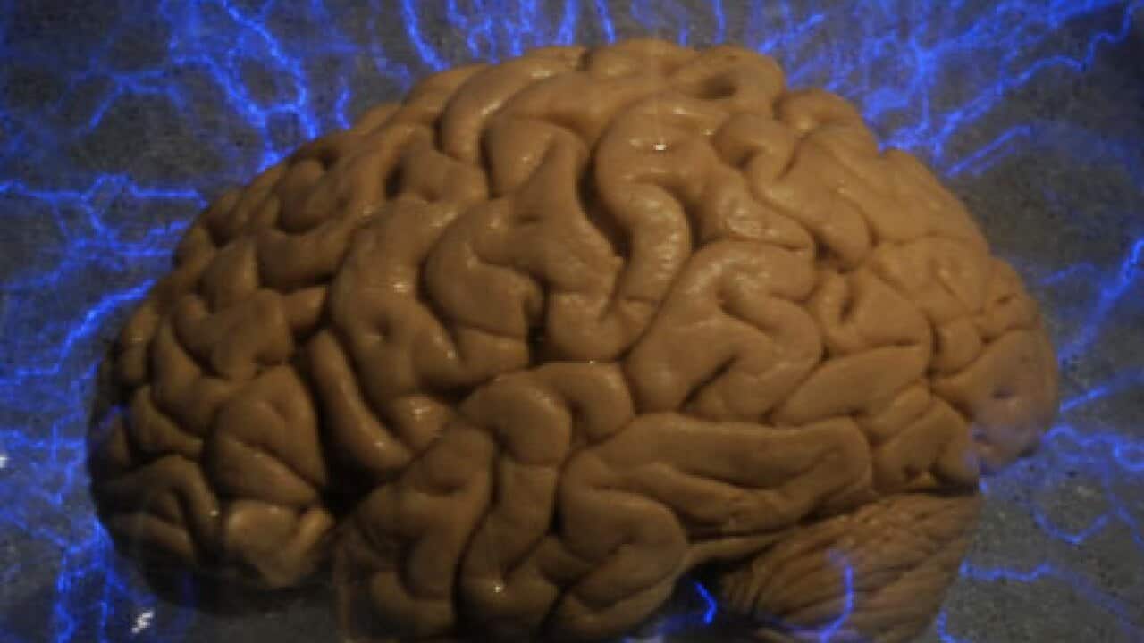 brain_101105_B_getty_758320583