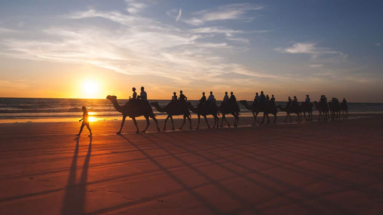 camel rides in Broome