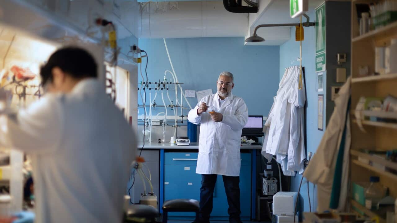 Scientists in a laboratory (AAP)