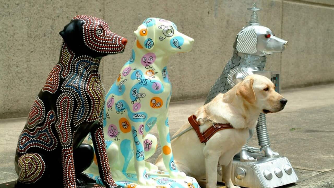 Guide dogs with the art installation